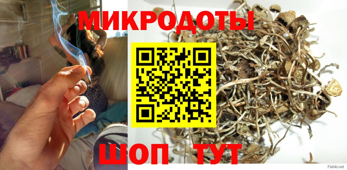 Псилоцибиновые грибы Psilocybe  Вход с VPN  Прохладный  Псилоцибиновые грибы мухоморы 