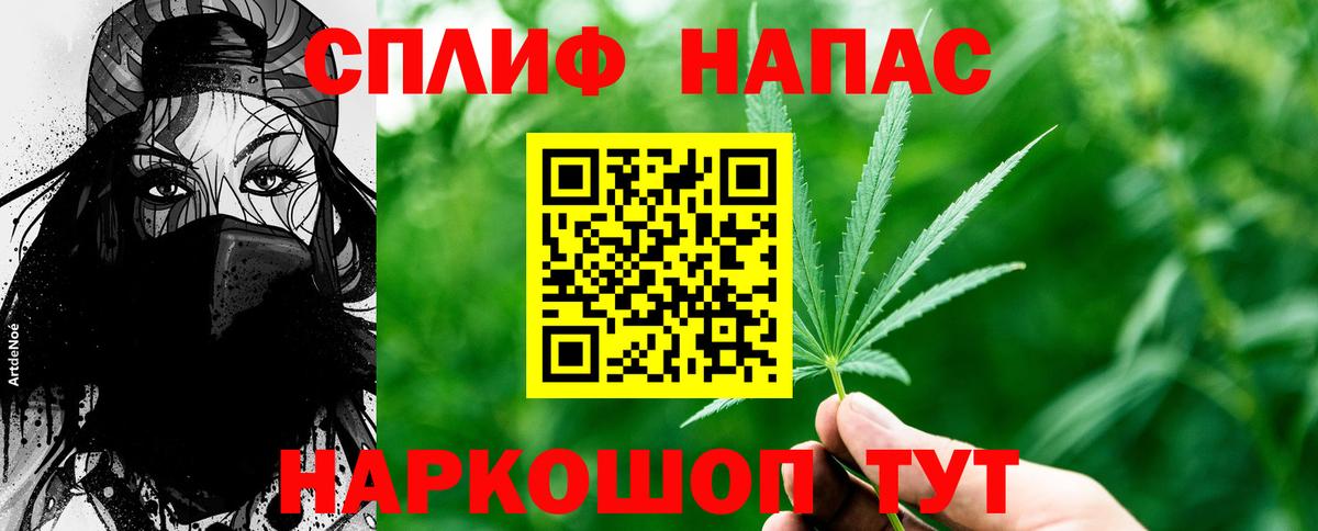 Конопля сатива  Канабис индика  Прохладный  Вход с VPN  Конопля MAZAR  Бошки Шишки сатива 